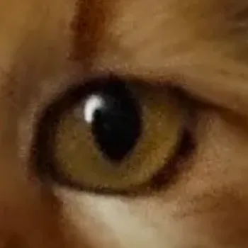 mica